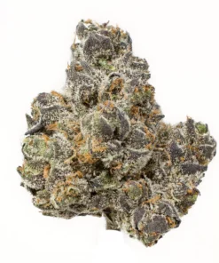 Apple Fritter strain