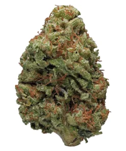 bruce banner strain