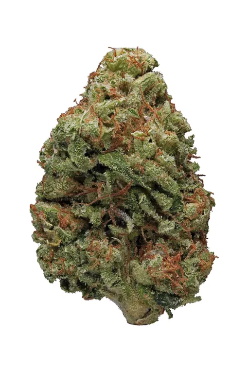 bruce banner strain