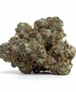 Crystal Coma Cannabis Strain